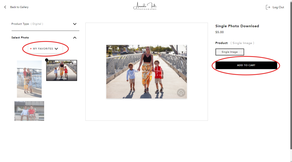 The single image purchase screen, a red circle is drawn around the "My Favorites" option and the "add to cart" button