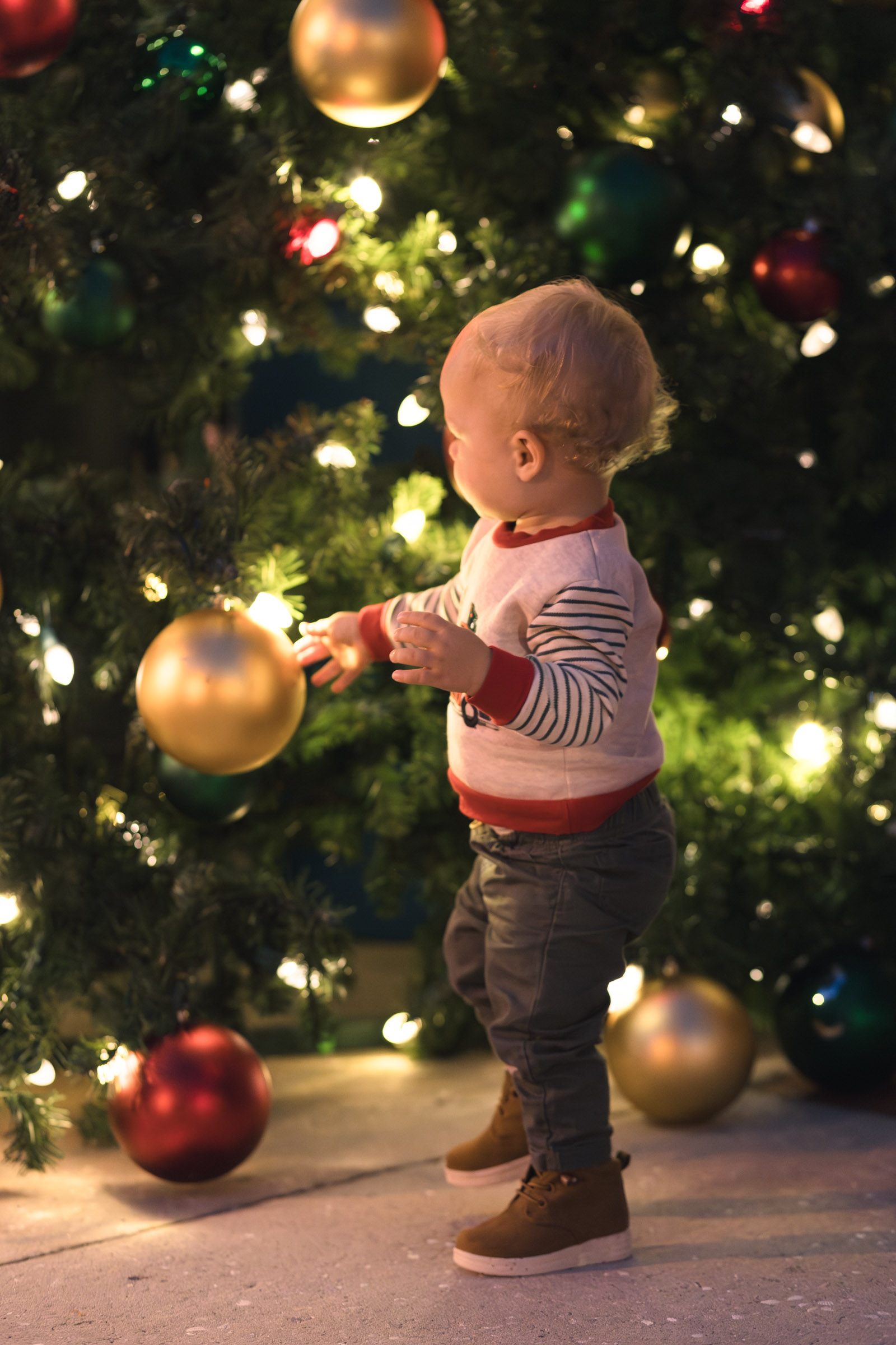 Young boy touches the ornaments on a large Christmas tree in Fort Myers