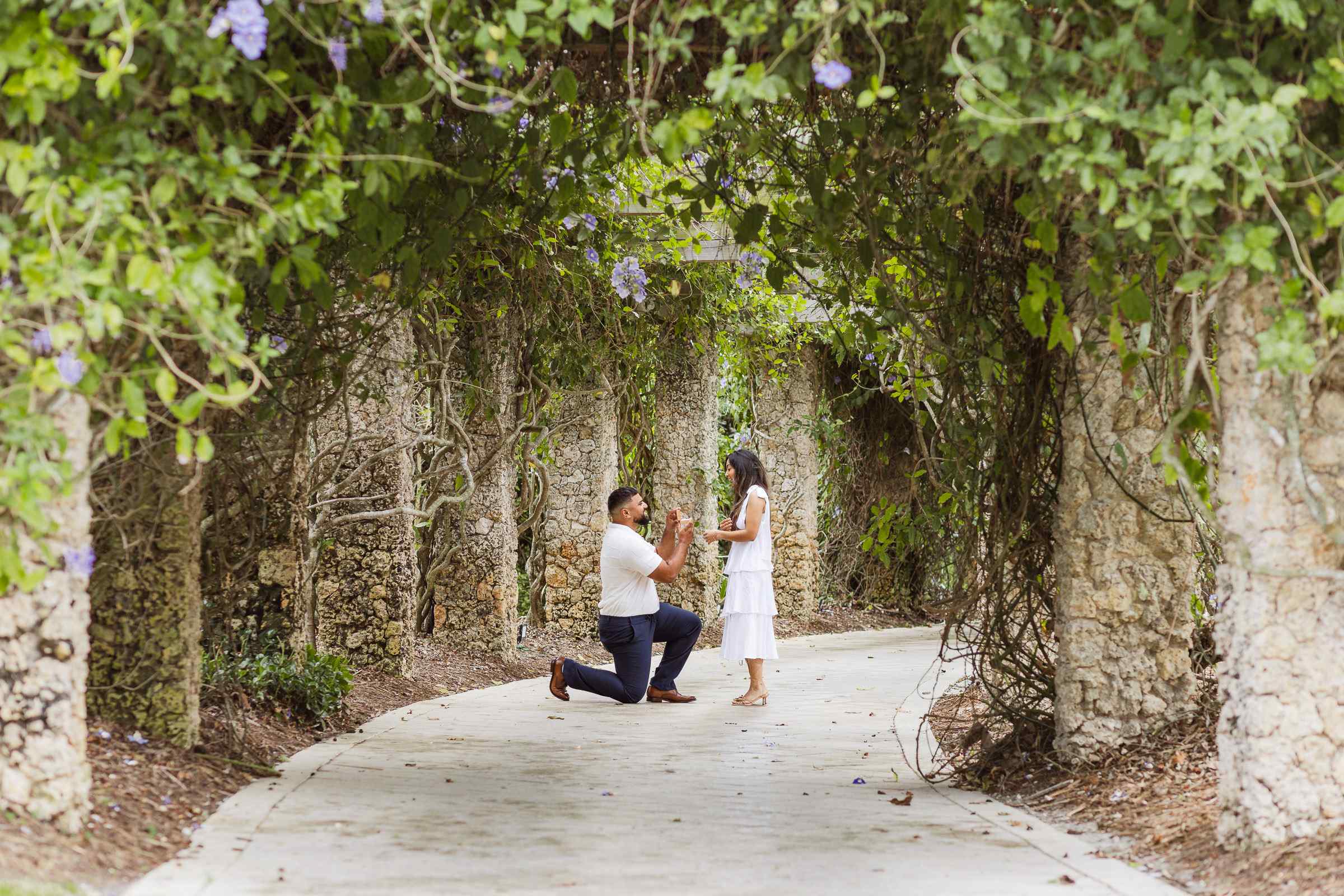 Man proposes to girlfriend under the flower tunnel at the Naples Botanical Garden