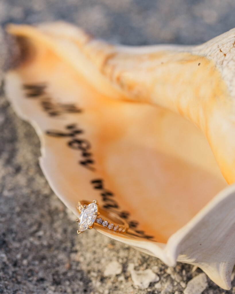 Close up of an engagement ring resting inside a conch shell, blurred out text inside the shell reads "will you marry me?"