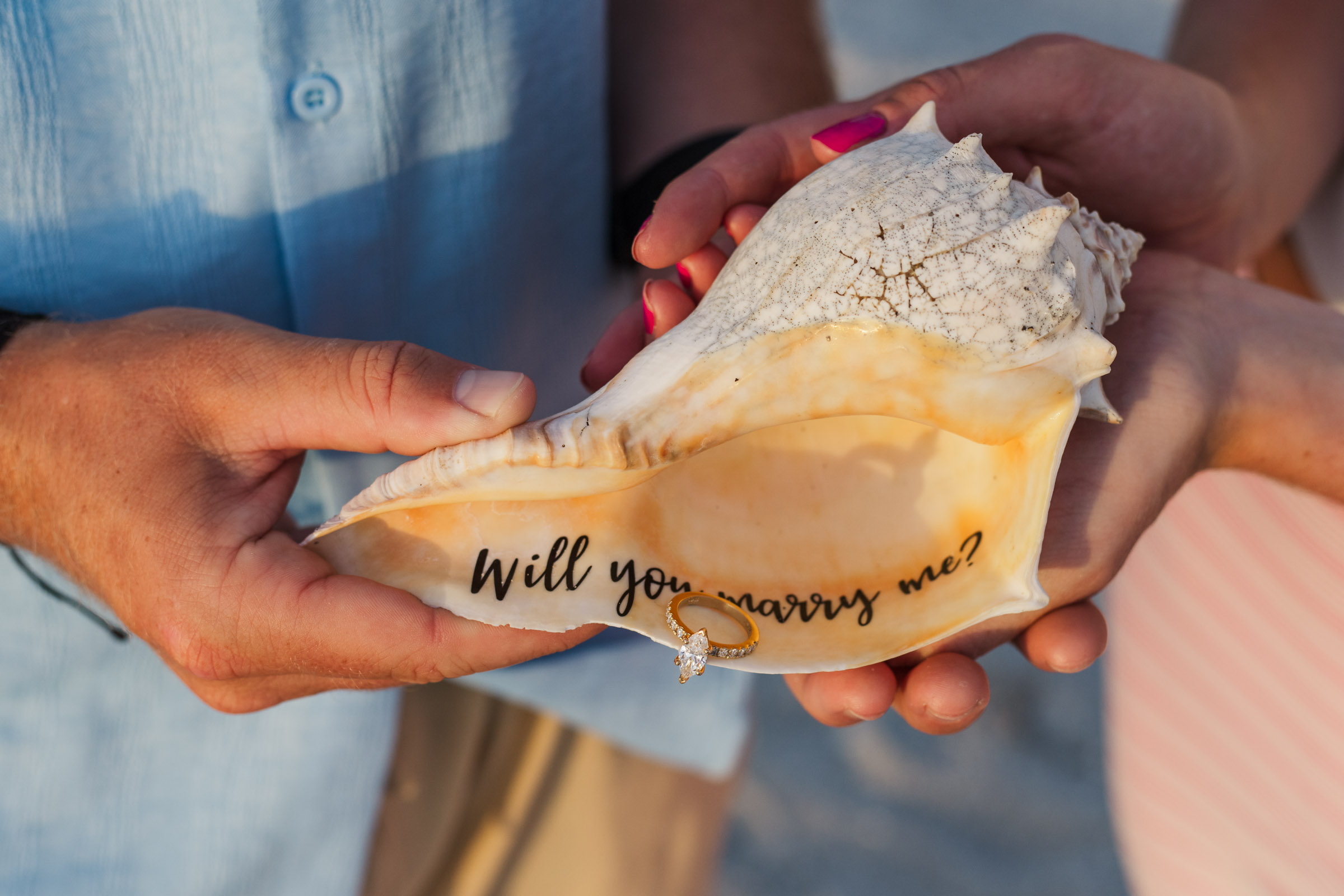 Coulple holds a conch shell together, inside is an engagement ring and text that says "will you marry me?"