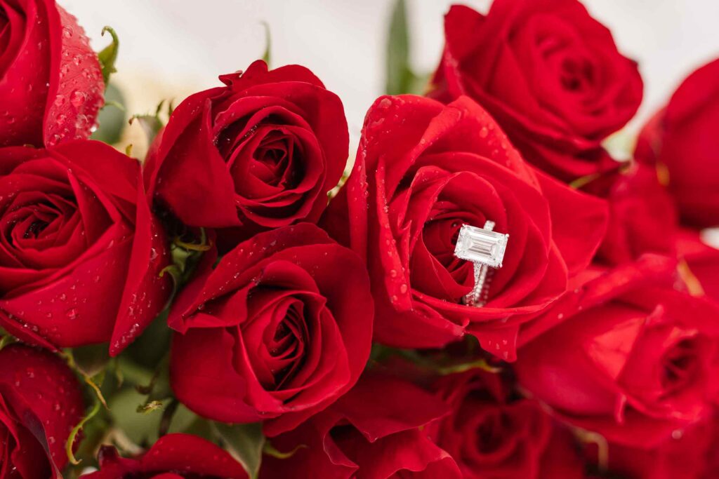 Silver and rectangle cut diamond ring in the middle of a bunch of red roses